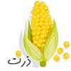 corn-icon-min (1)