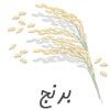 rice-icon-min (1)